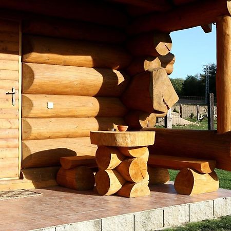 Na Samote Ve Srubu Villa Plzeň Exteriör bild